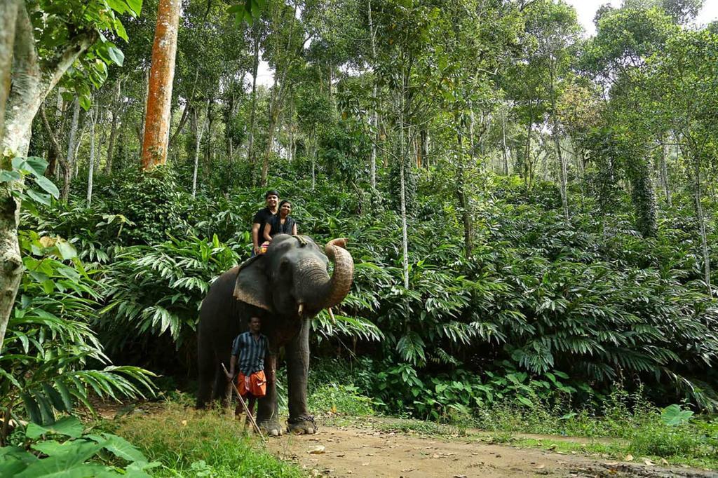 Hotel Elephant Court Thekkady Exterior foto